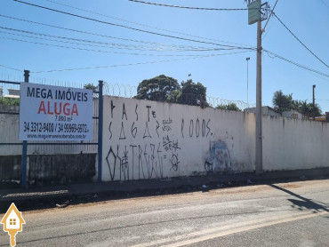 aluga-se-terrenoarea-sao-cristovao-uberaba-136390