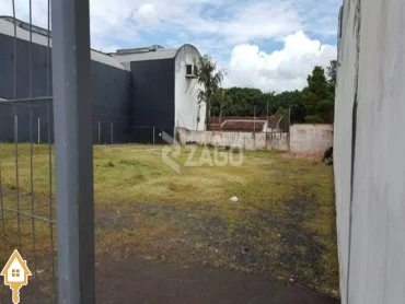 aluga-se-terrenoarea-sao-sebastiao-uberaba-146366