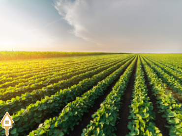 aluga-se-galpao-centro-uberaba-148451